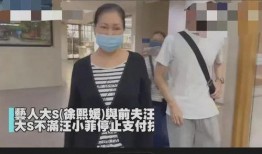 是谁爆料汪小菲的视频